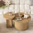 Kemariyah Nesting Coffee Table