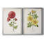 «Botanical III», ensemble de 2 reproductions d'impressions-568685741-568685781-568685740