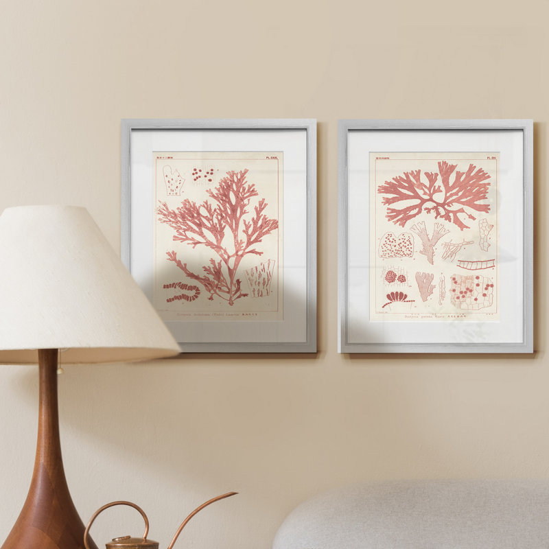 Antique Coral Seaweed I-Framed 2 Piece Set - Black - 2 Piece Single Picture Frame Print