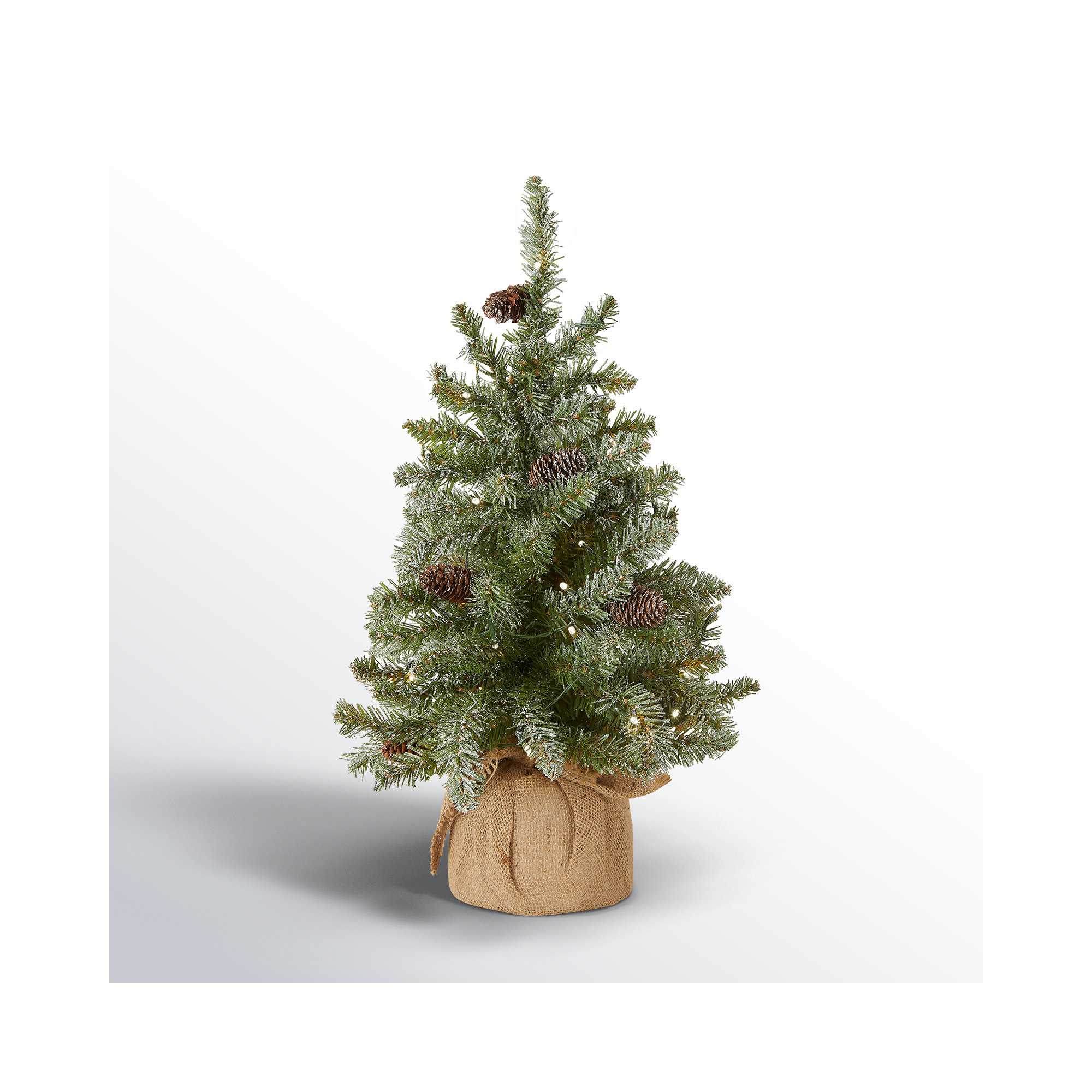 Flocked Fir Tree with LED Lights, 2'