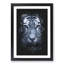 Tiger Portrait - Framed Print-56856963-56856969