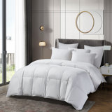 Sateen Cotton European Down Comforter - All Seasons