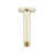 Polished Brass