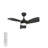 30 Inch Indoor Ceiling Fans with Lights and Remote Control, DC Slient Motor, Dimmable, Reversible, Timmer, 3 CCT, Black