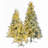 Christmas Trees