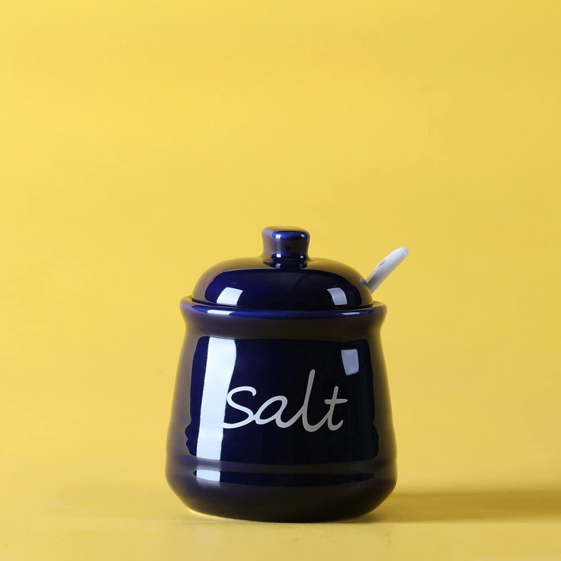 Bol à sel en céramique avec couvercle et cuillère blanc 12 oz (bleu marine)