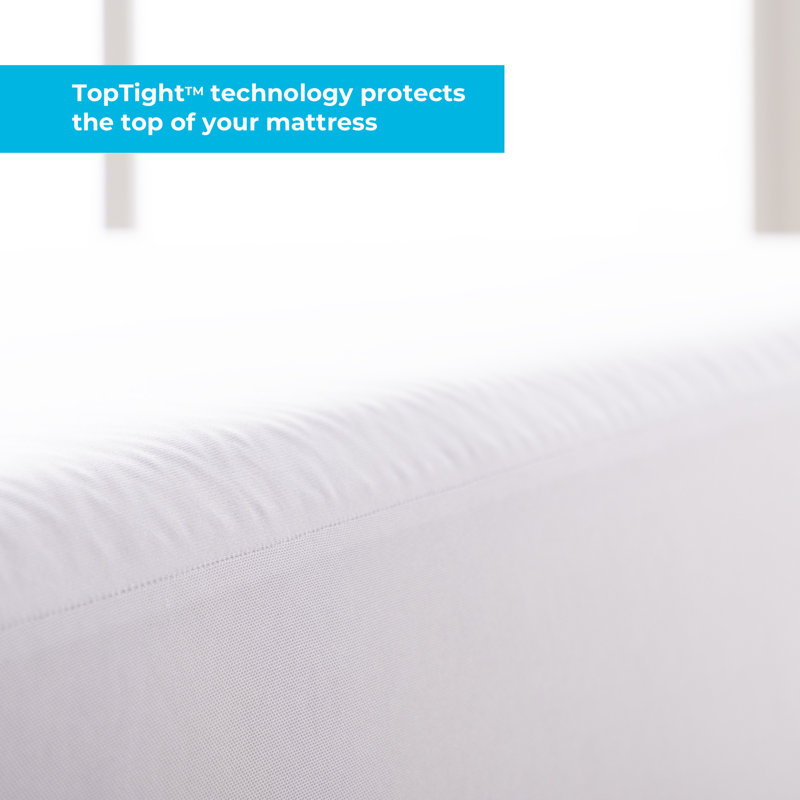 Wayfair Sleep™ Waterproof Fitted Mattress Protector, Twin XL