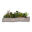 Faux Succulent Plant in Cement Pot