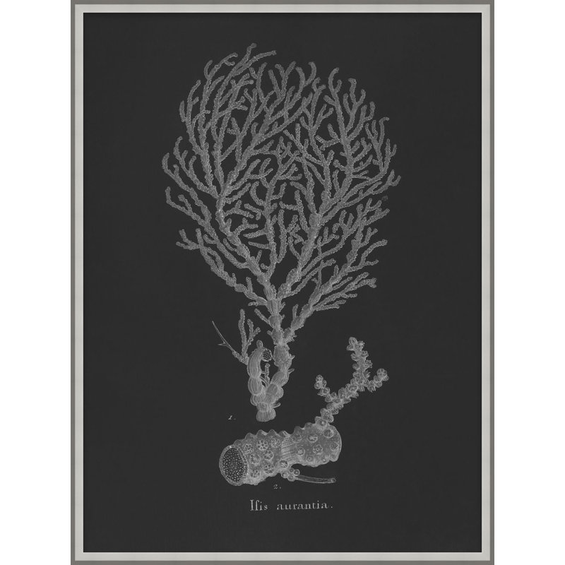 Briny Deep 5 Print, 18" H x 14" W x 2" D