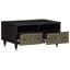 Aiyaan Coffee Table with Storage-1589625786-1589625779