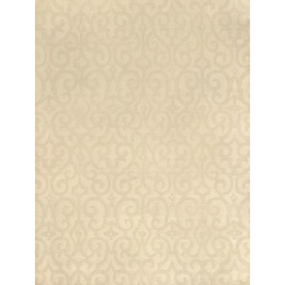 Damask Area Rug in Salt/Ivory