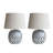 Benino Coastal Capiz and Rayon from Bamboo Table Lamp with Fish Design