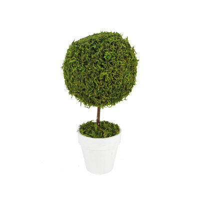 Arbre topiaire vert en forme de boule de renne verte