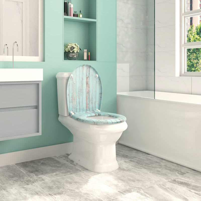 Dejoie Soft Close Elongated Standard Toilet Seat
