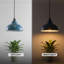 1 - Light Dome Pendant-1356561748-1356561751