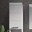 Bertolino 37Cm W x 190Cm H x 32.6Cm D Tall Bathroom Cabinet