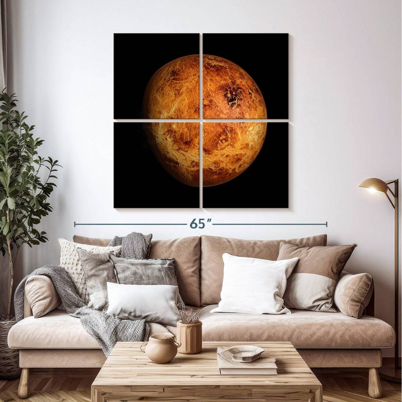 Oberle Venus Close Up, 45" H x 45" W