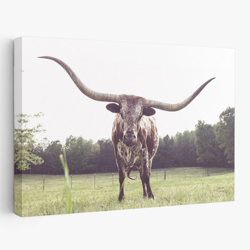 Longhorn à la campagne / campagne dernier appel, H 24 po x l 16 po