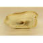 Petit centre de table en onyx blanc et beige