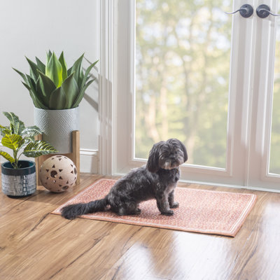 Rectangle Maroske Outdoor Washable Polyester Indoor / Outdoor Area Rug in Orange