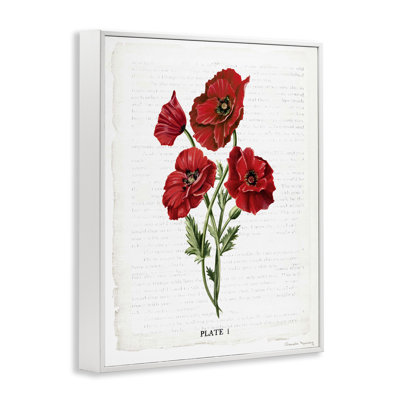 Red Poppy Study Framed Giclee Art, design by Danielle Murray