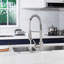 Robinet de cuisine rétractable avec accessoires FORIUS-76425216