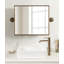 Dunnell Rectangle Pivot Bathroom Wall Mirror-87680051-87680049