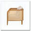 Chaise rembourrée en osier pour l'extérieur