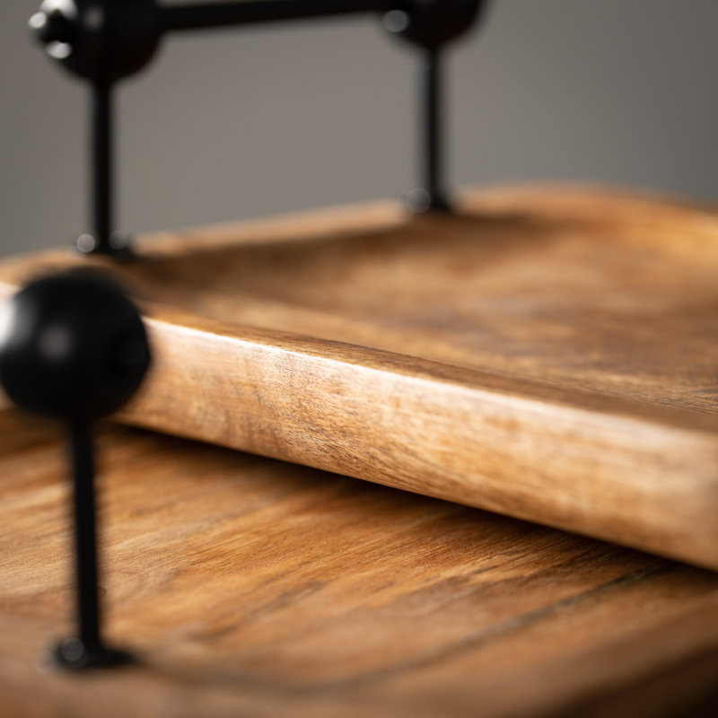 Bartlett Tray - Set of 2