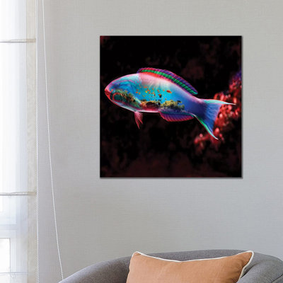 Fish by Paul Haag - Print on Canvas