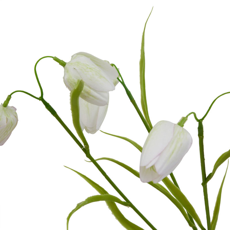Anastasija Arrangement, White