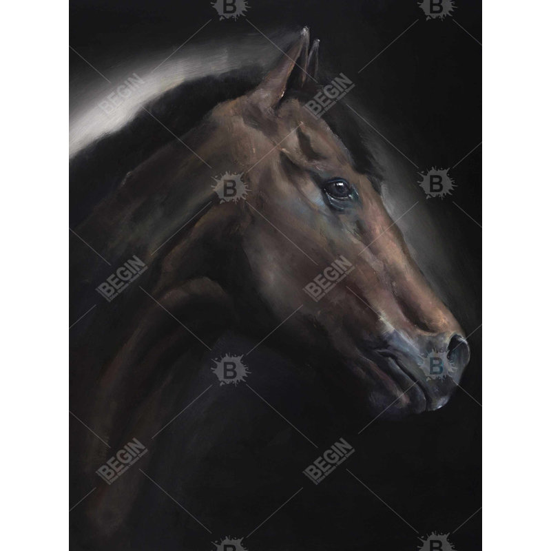 Loneliness horse Bath Mat with Non-Slip Backing - Quick Dry Memory Foam Bathroom Rug - Absorbent - Modern Plush Spa-Style - Machine Washable