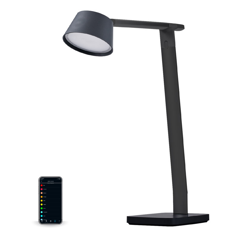 Metal Desk Lamp