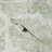 Brenna Damask Roll
