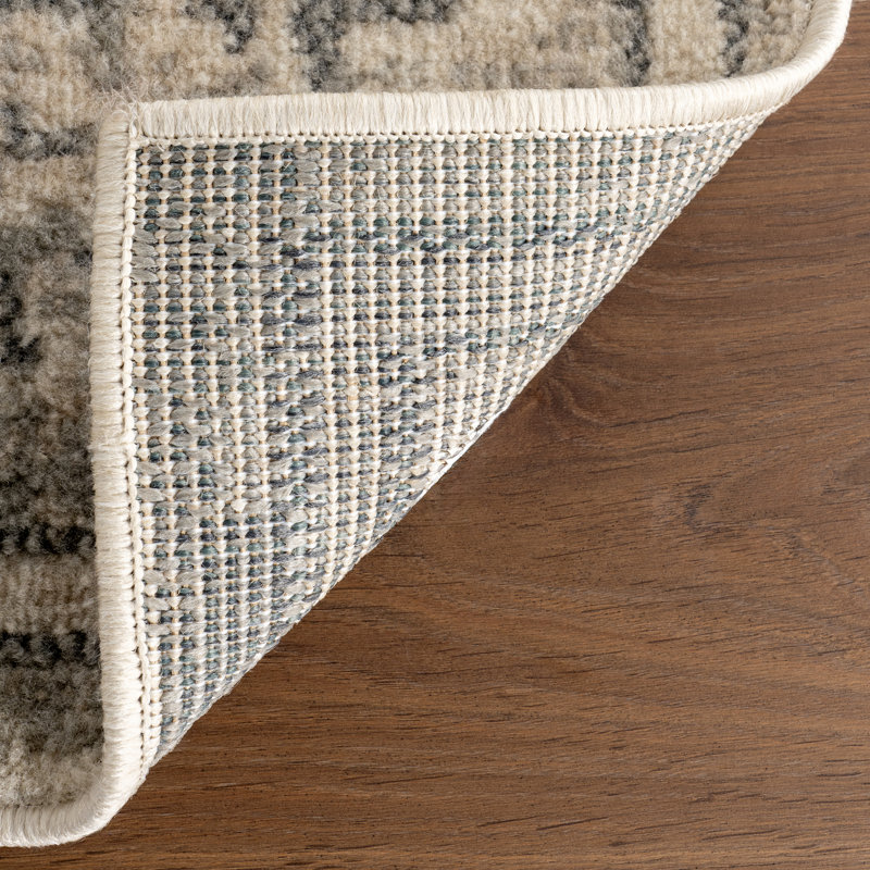 Downley Traditional DIstressed Area Rug, Rectangle 4' x 6'