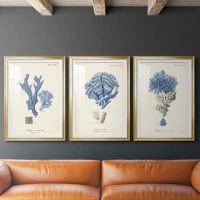 Corail antique en bleu marine I - Impression personnalisée de qualité supérieure avec cadre mat - 3 pièces