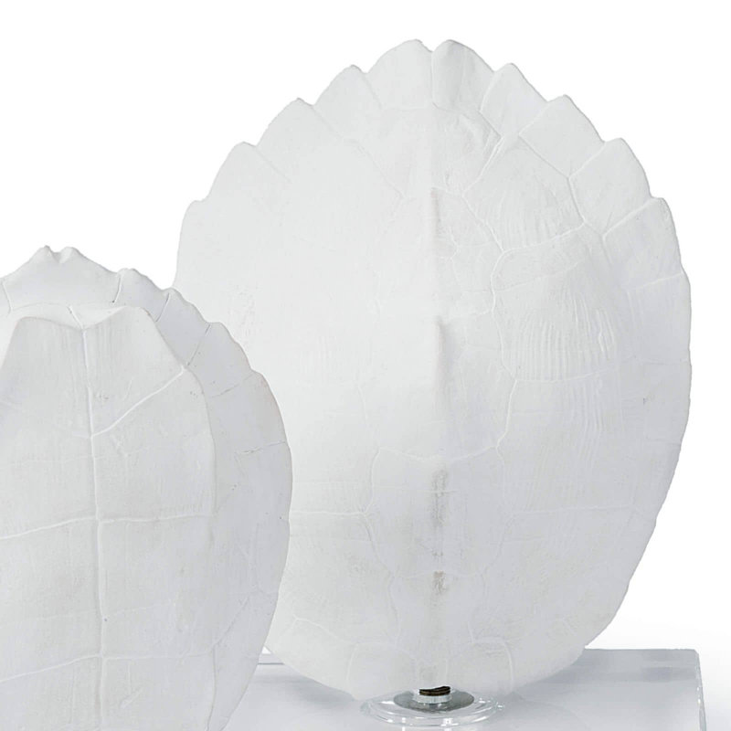 Turtle Shells On Crystal (Set of 2)