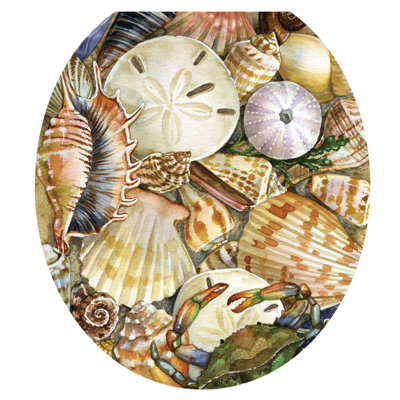Coastal Seashells Toilet Seat Decal – Toilet Tattoos Beach Static Cling Vinyl Lid Cover Fits Round & Elongated Seats