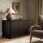 Dumont 2-Door Accent Cabinet-1438281024