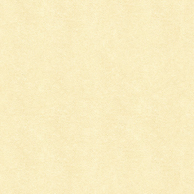 Abilene Fabric