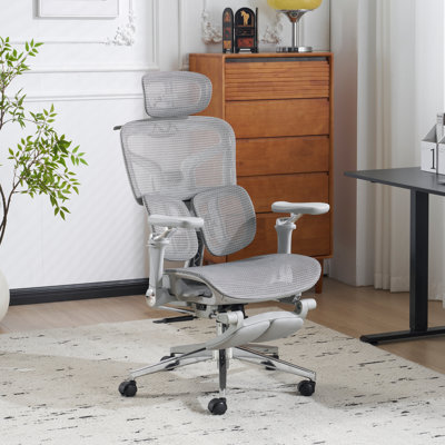 Ergonomic Gray Mesh Office Chair with 6D Armrests,3D Headrest,2-Zone Lumbar Support and Retractable Footrest