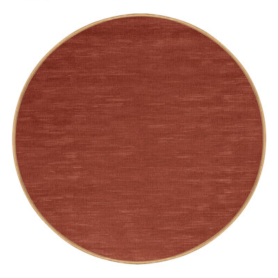 Machine Washable Solid Brown Area Rug
