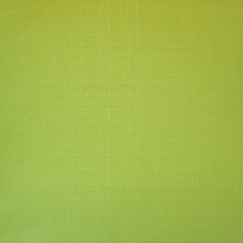 Coussin décoratif intérieur / extérieur Brisyn, Hauteur (24 po) x largeur (24 po), Vert