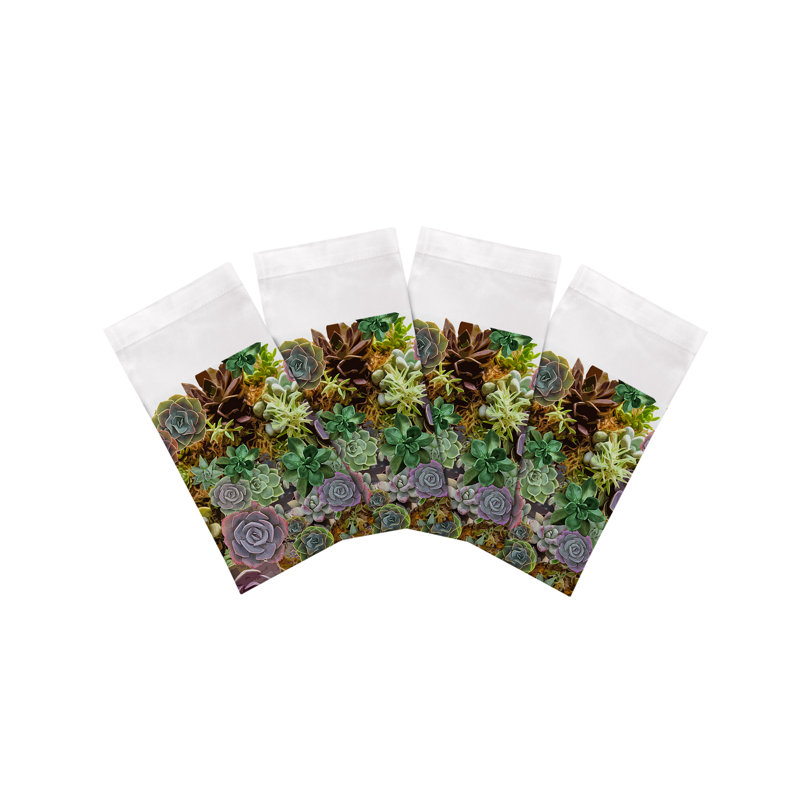 Succulents Cotton Sateen Dinner Napkins, White
