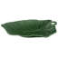 Leaves Landscape & Nature Figurines & Sculptures-642368343