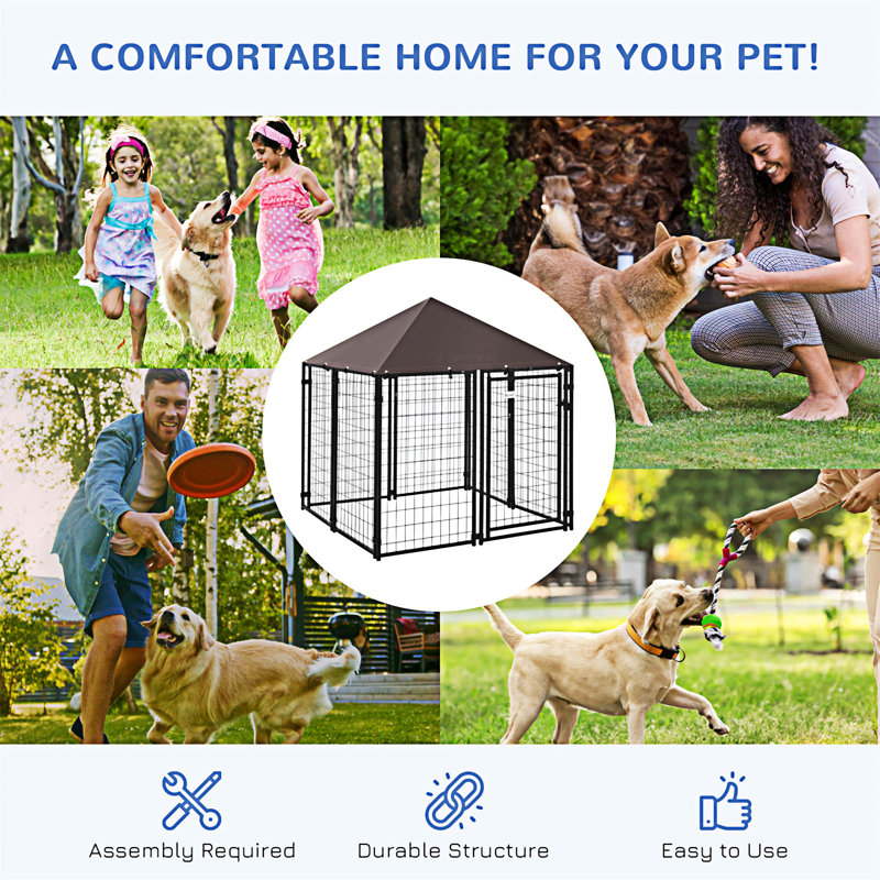5' x 5' Black Steel Outdoor Dog Kennel with Roof