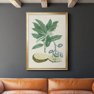 " Buchoz Tropicals IV " Print