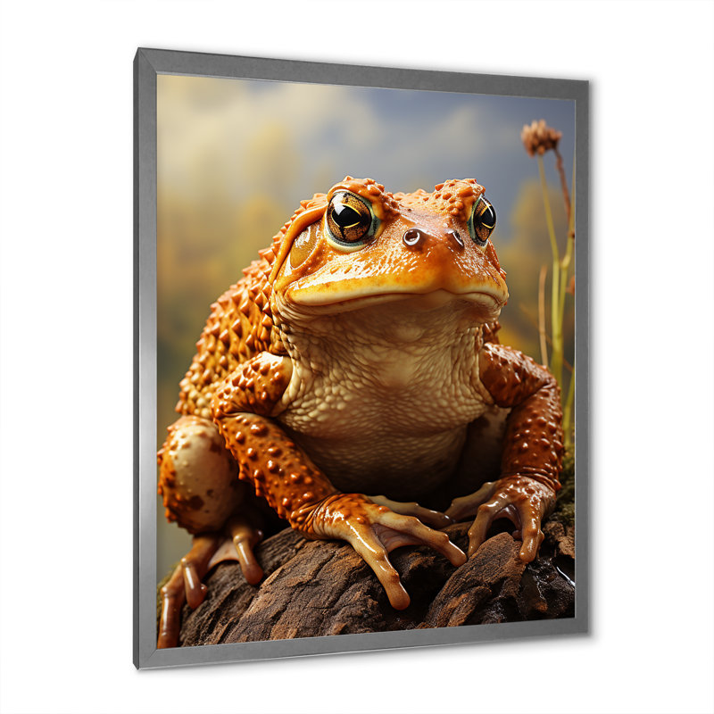 «Classic Frog Portrait I» sur toile, Cadre photo argenté, H 20 po x l 12 po x P 1 po
