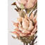 Dried Flower Bunch-119034009-119034008