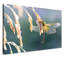 Print on Canvas-23990869